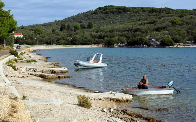 Tonci - 30 m from beach - A2 Gori (2+1)