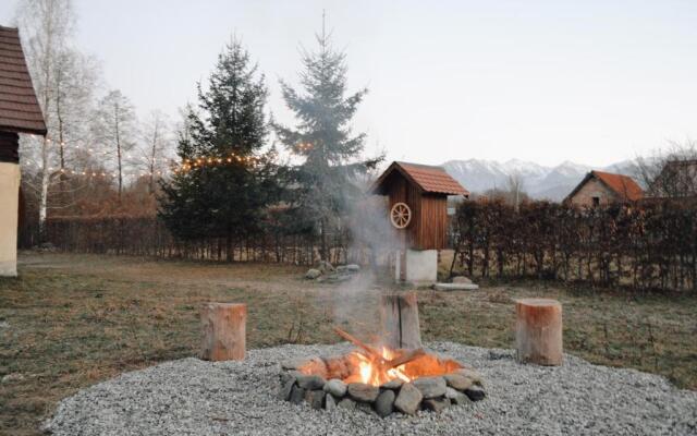 Cuib din Fagaras