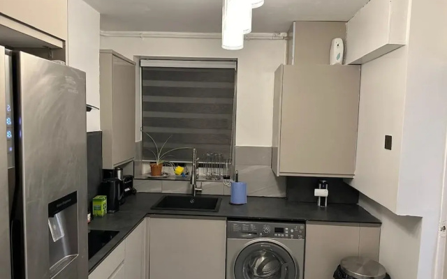 Stylish 1BR Apt w/ Fireplace & High-speed Wifi