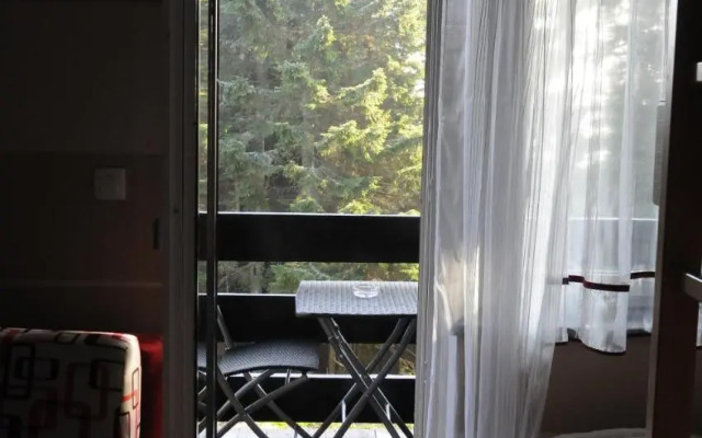 Zeleni Apartment Rogla