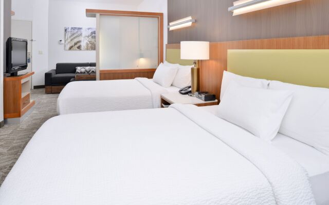 SpringHill Suites by Marriott Ashburn Dulles North