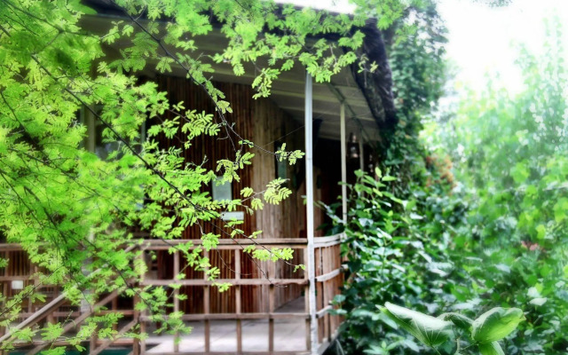 The Tree House Resort