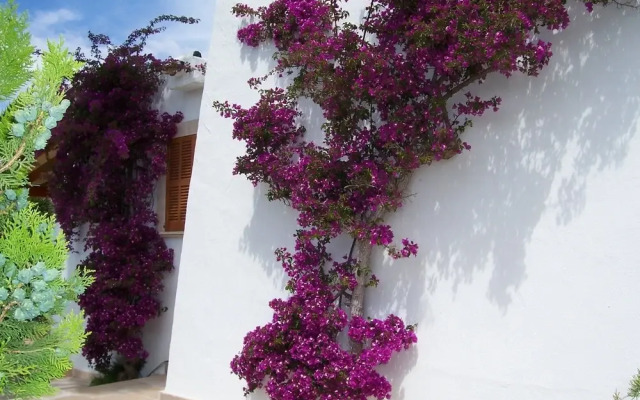 Villa Pastor