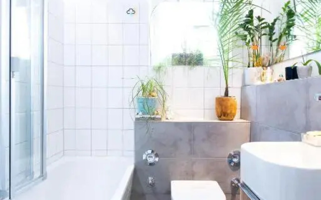 ZV2001 Private Apartments & Rooms near Exhibition Ground (room agency)