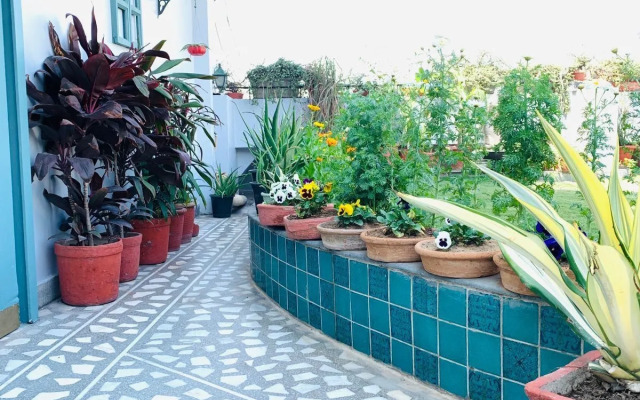 vandanas bed and breakfast