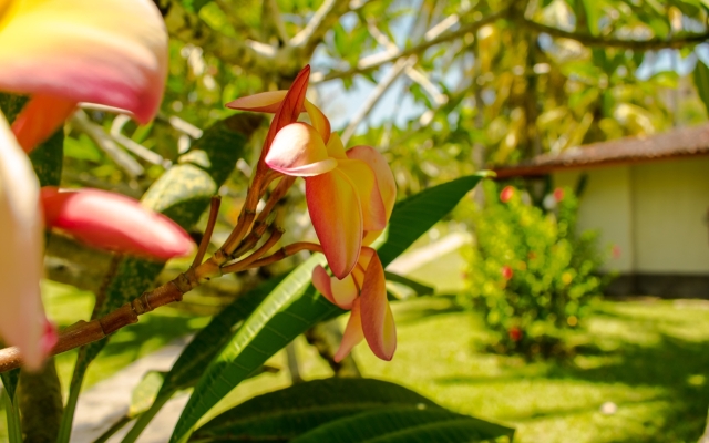 Village Paraíso Tropical