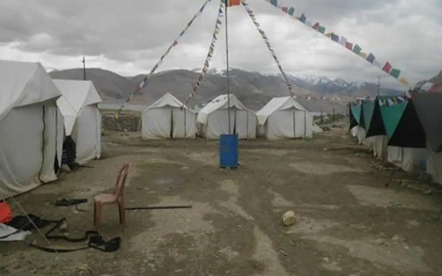 Golden Mark Camp