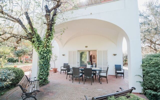 Panoramic Villa near Blue Grotto