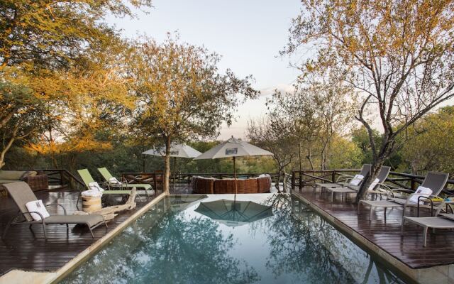 Naledi Bushlodge