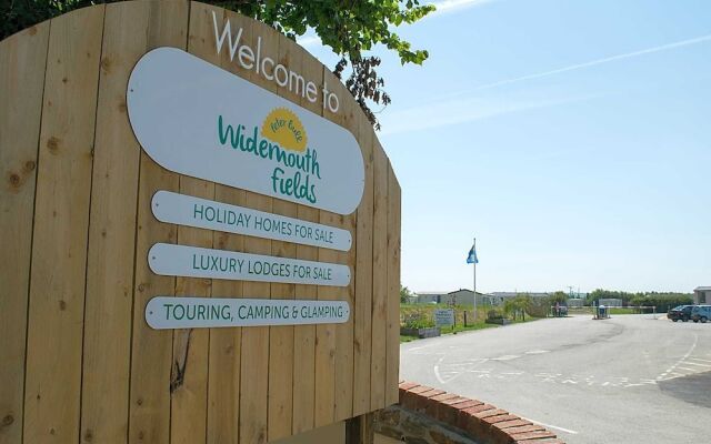 Widemouth Fields