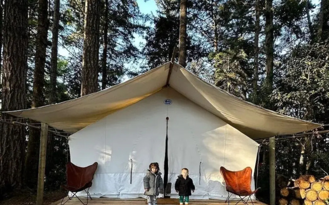 Mendocino Grove