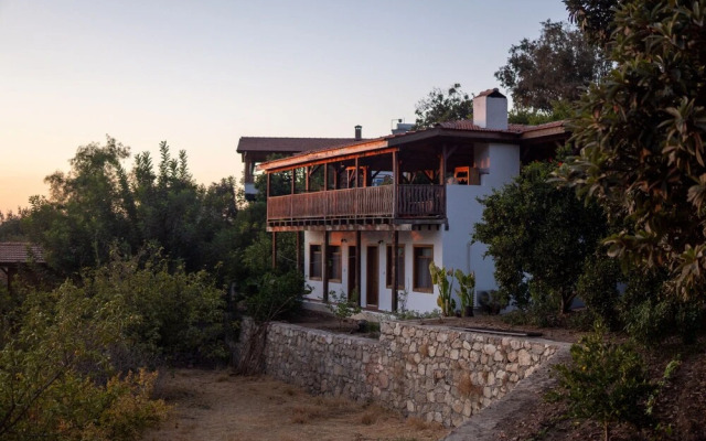 Suleyman's Garden