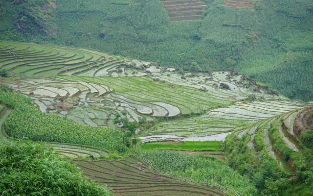 Saigonese Trekking House - Hostel