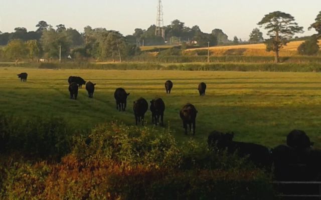 Courtbrook Farm Apartments