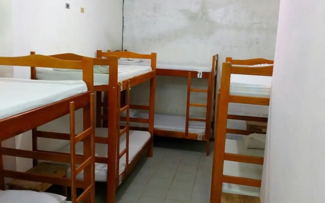 Tauma Hostal & Camping