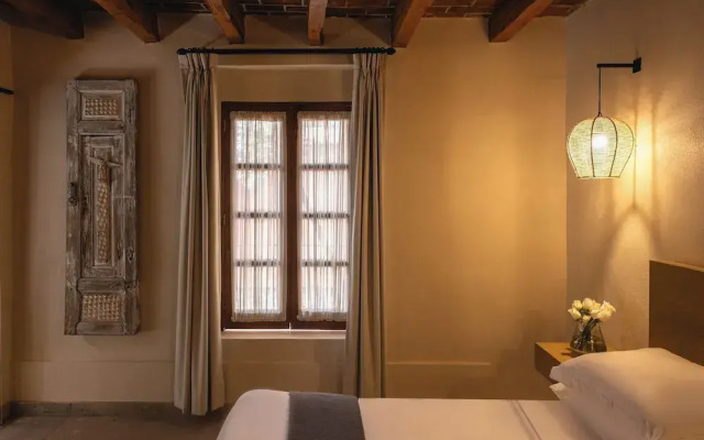 Orchid House Coyoacán