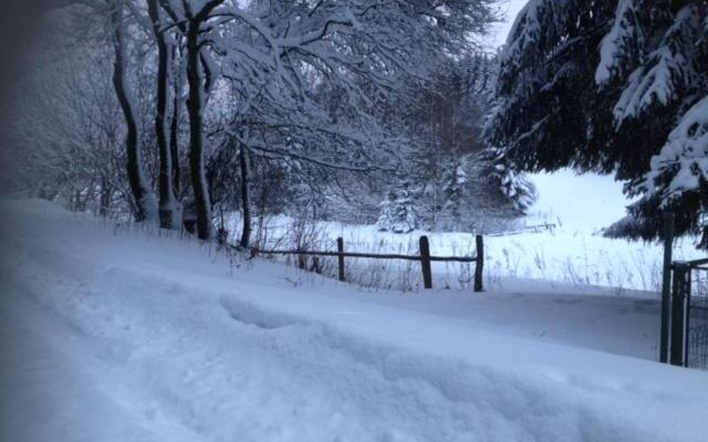 Chalet Le Grand Cerf