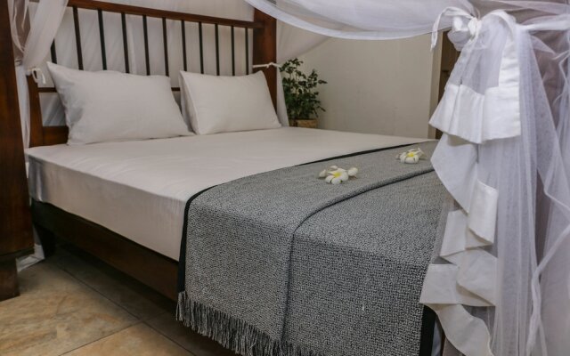 Villa Rosa Blanca - White Rose