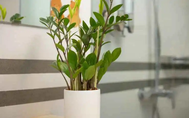 YR Hotel & Apartments