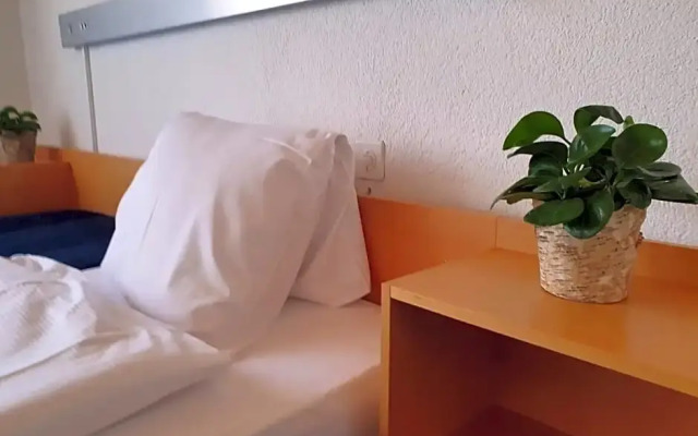 Erlebnisland Grizzlybär