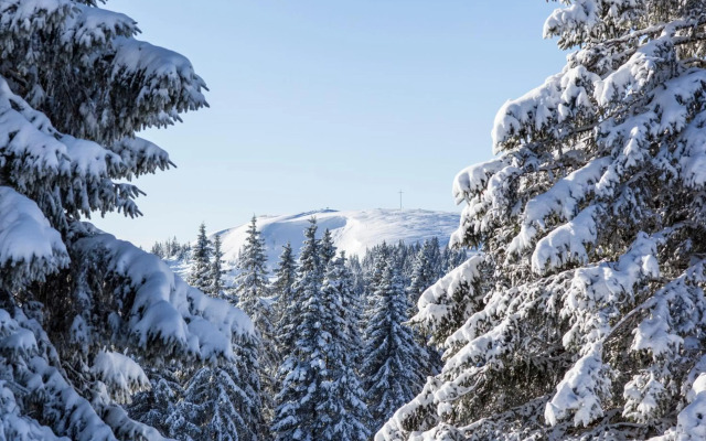 Schwarzwaldhaus Krebs - Peter Lustig, Lenzkirch, Feldberg