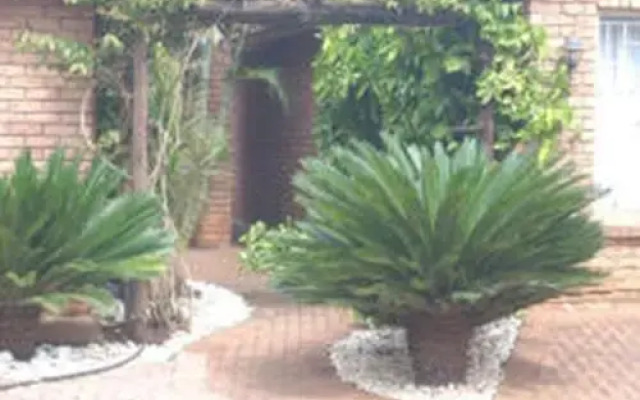 Cycas Guest House