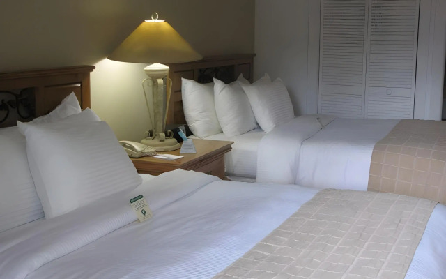 Paradise Inn Key West - Adults Only