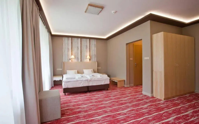 Hotel Piwniczna Spa & Conference