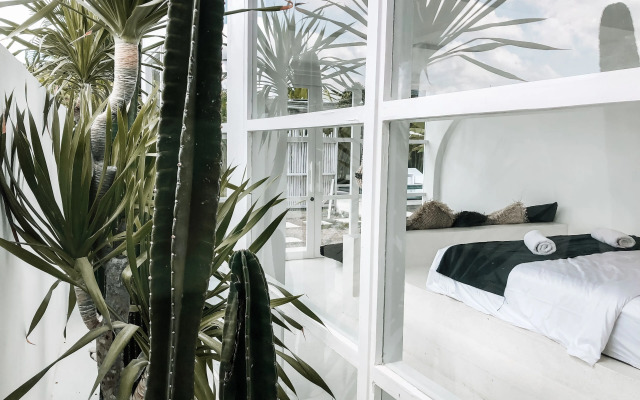 White Palm Hotel Bali