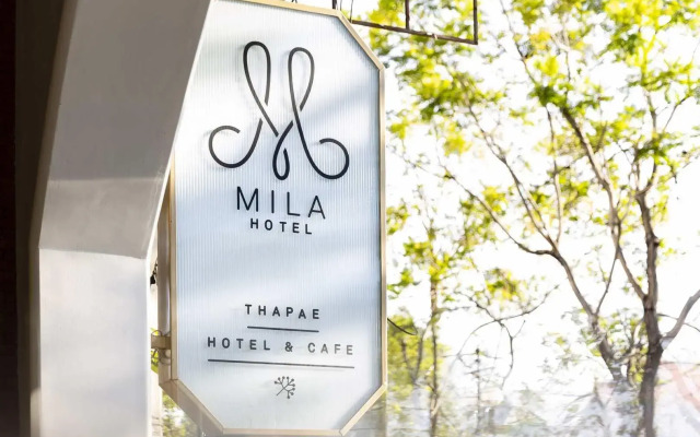 Mila Thapae@ChiangMai Old City