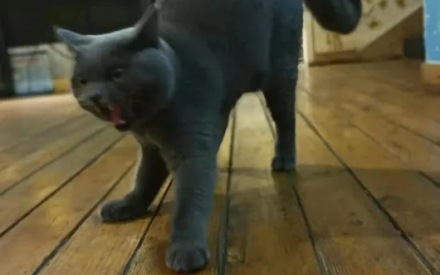 Blue Sky International Youth Hostel (Sanya Dadonghai)