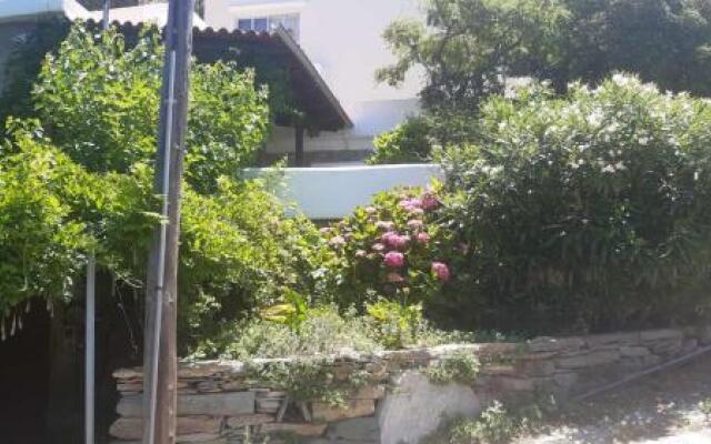 Stella's House