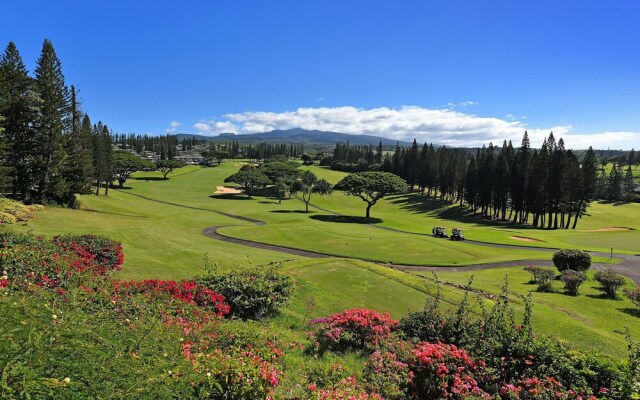 Kapalua Golf S 20p3&4 2 Bedroom Condo