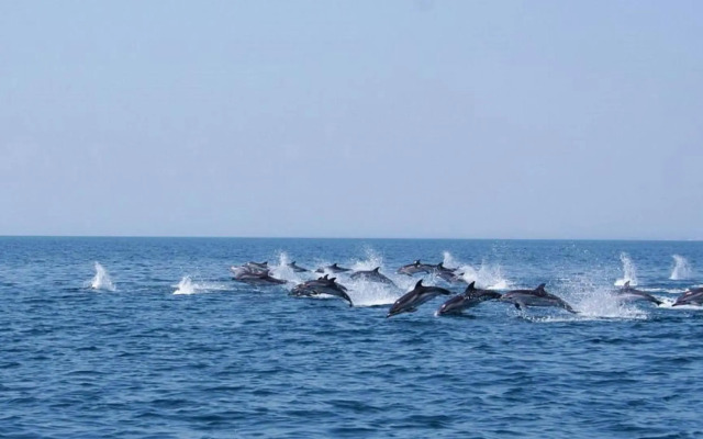 Realis Villa Gandoli Pool&BBQ - Adults only"16th"