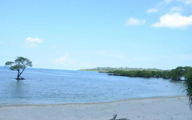 Coconhuts Beach Resort-Neil Island