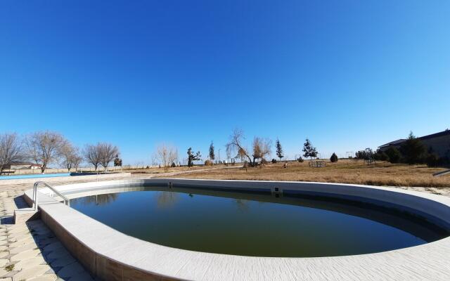 Электра Холидей