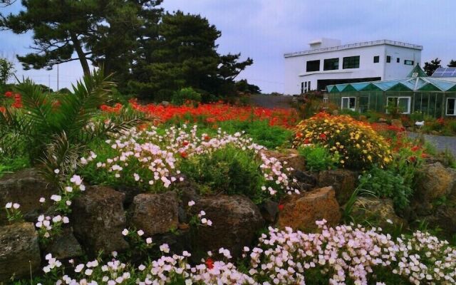 Jeju Ssariz Pension