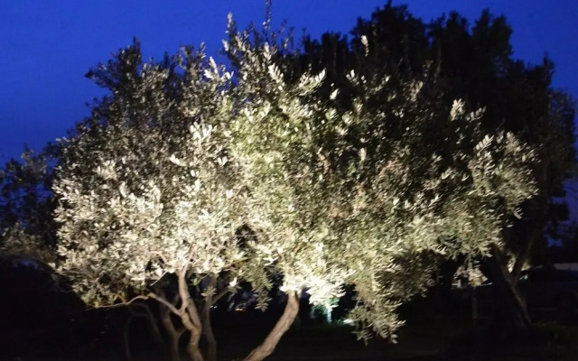 Les Gites du Rocher du Pieï