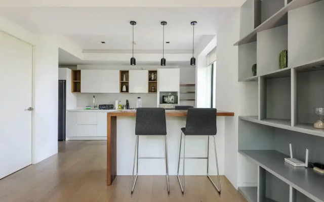 Stunning Loft in Roma Norte