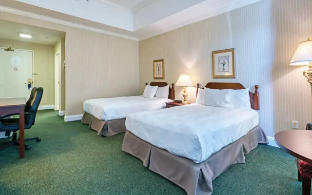 The Casablanca Hotel