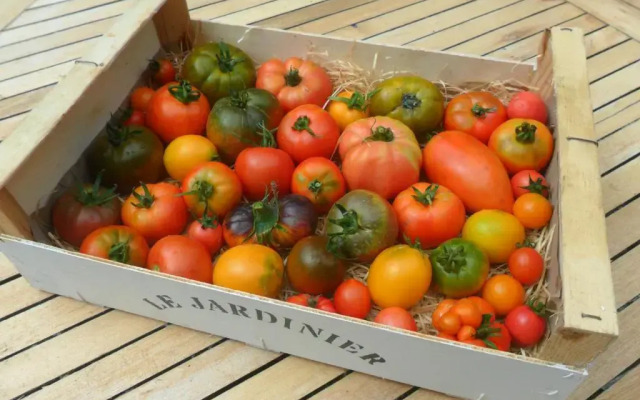 Chambres dHôtes La Turone