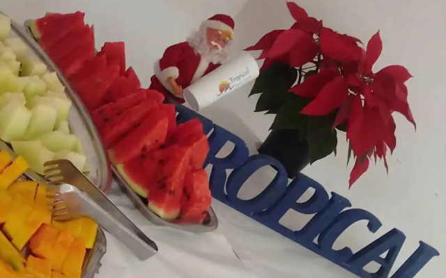 Tropical Hostel e Pousada