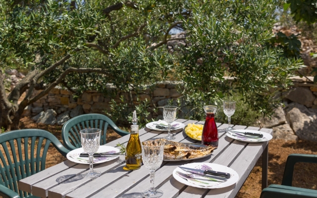 Holiday house Villa Ante - with pool: Rogac, Island Solta