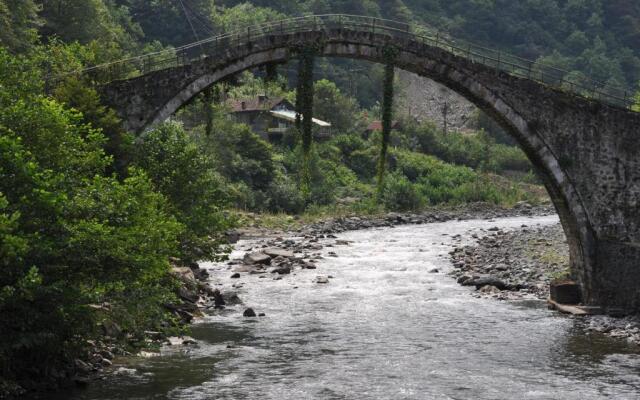 Ayder Hasimoglu Hotel