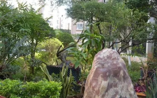 Jianshui zhuwuqing  homestay