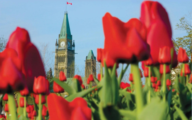 Holiday Inn Ottawa Dwtn - Parliament Hill by IHG
