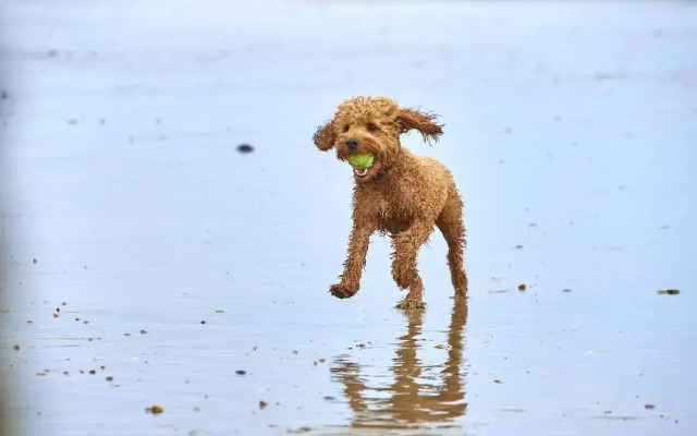 The Relais Cooden Beac