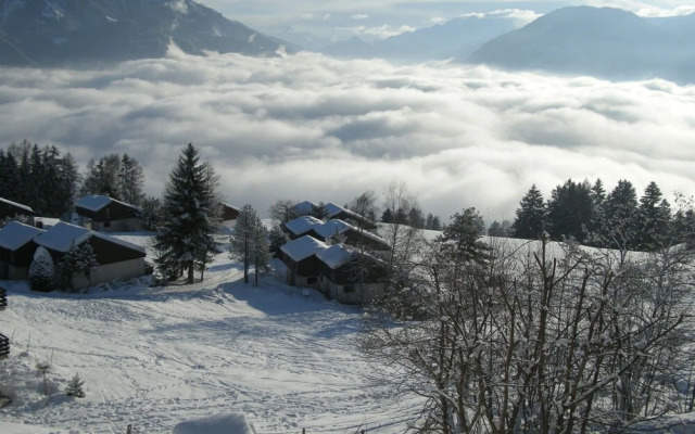 Cozy Apartment in Sarn near Forest