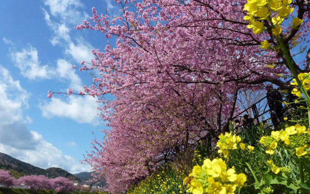 Izu Imaihama Tokyu Hotel