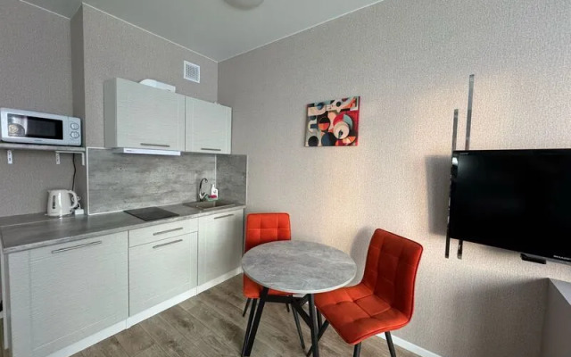 Апартаменты ДеньНочь на ул. Петра Подзолкова д. 24